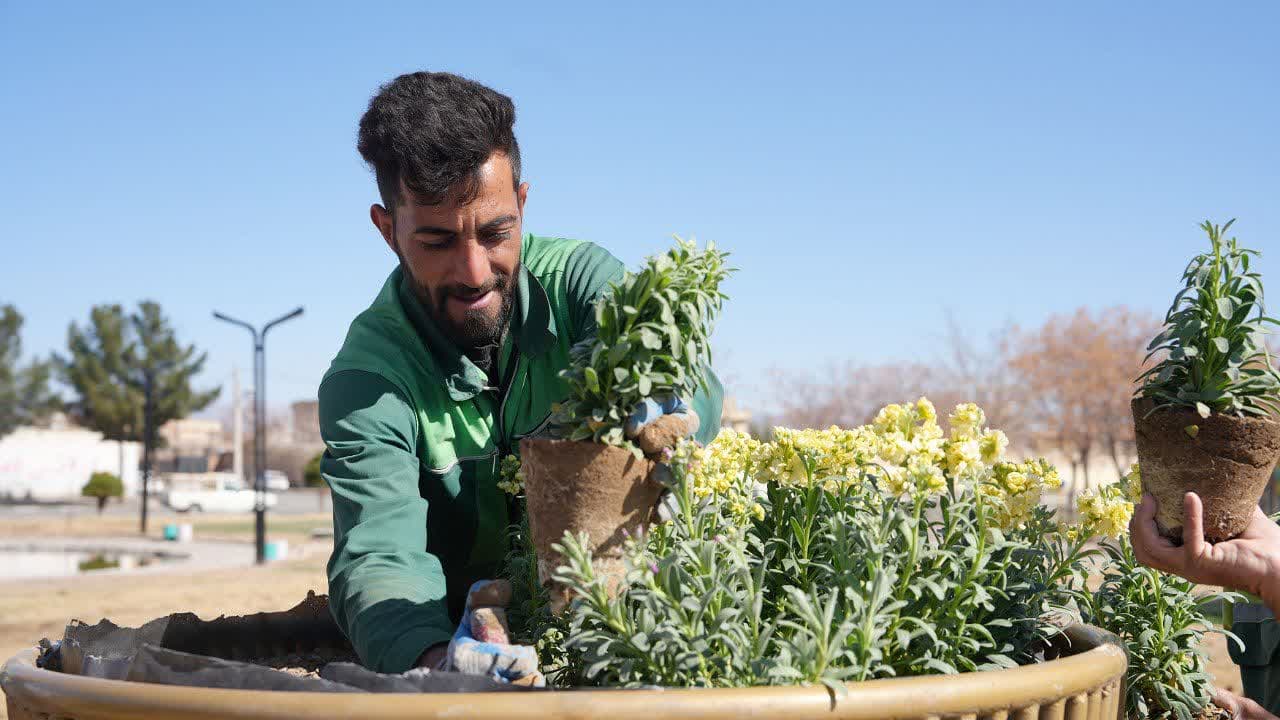 شمیم بهار در شهر پیچید